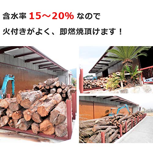 乾燥済みのケヤキの薪